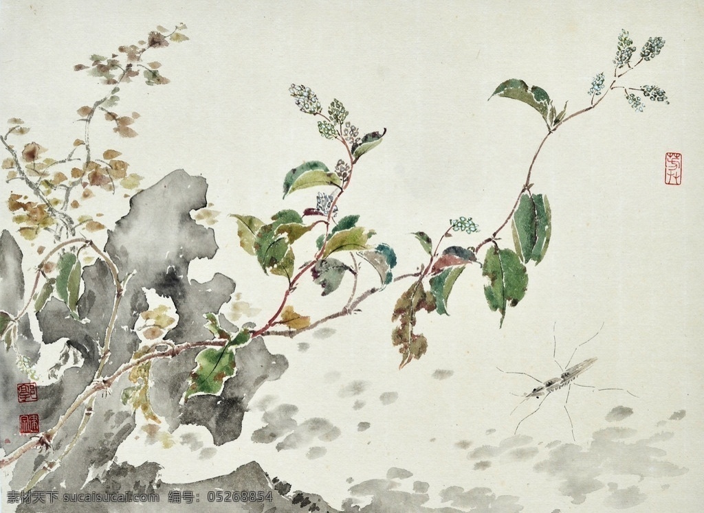 花草虫国画 美术 中国画 彩墨画 花草 虫子 石头 文化艺术 绘画书法