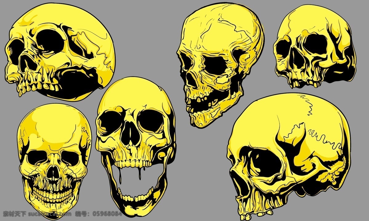 颅骨 矢量 骷髅头 头骨 向量的伴侣 颅骨矢量素材 矢量图 其他矢量图