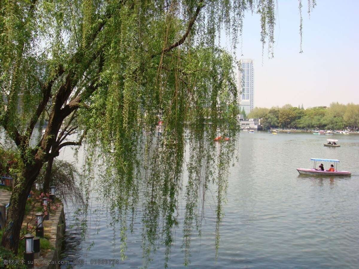 白色 粉色 湖水 黄色 下午 阳光明媚 游艇 杨柳 青青 杨柳青青 上海长风公园 植物 自然景观 自然风景 绿色园林 风景 生活 旅游餐饮
