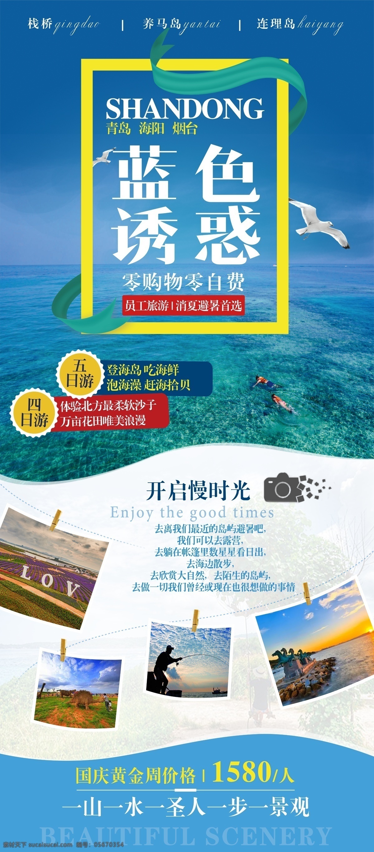 青岛 旅游购物 易拉宝 养马岛 连理岛 旅游展架 旅游易拉宝 旅游