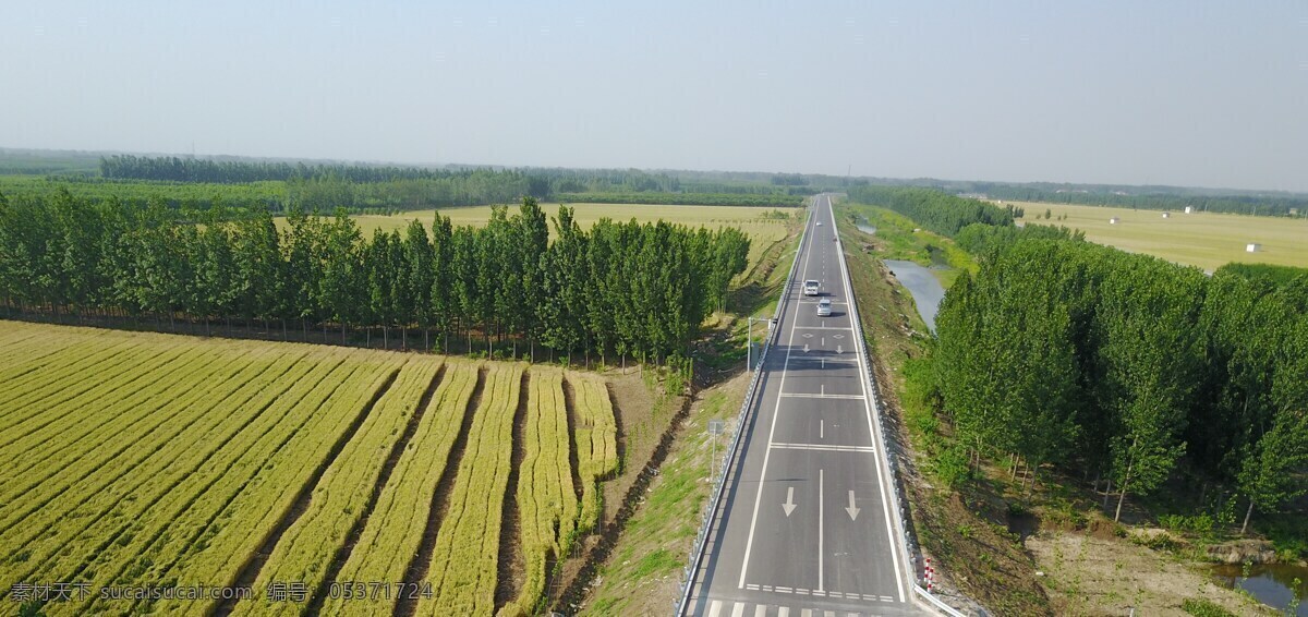 麦田和道路 麦田 道路 汽车 航拍 来车 自然景观 山水风景