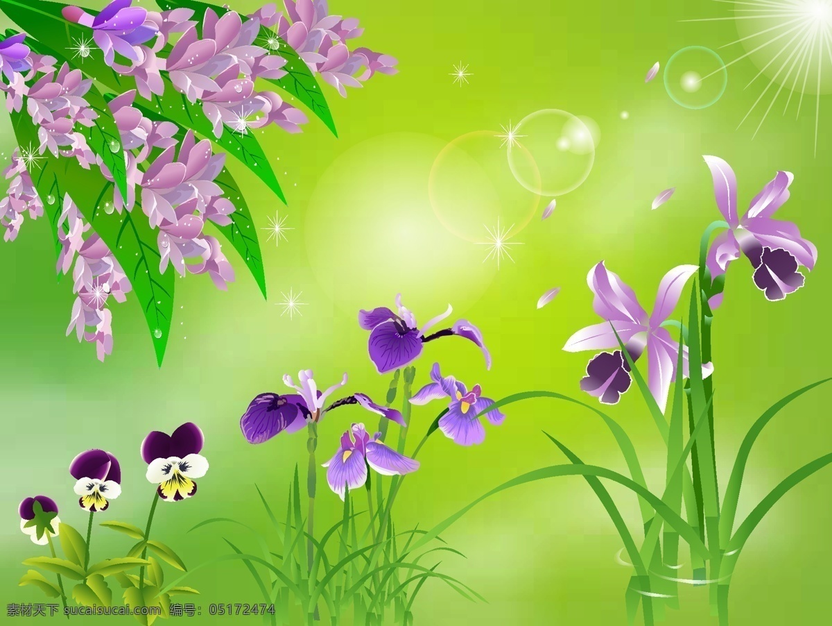 紫色 跳舞 兰 紫丁香 花 花瓣 花朵 花卉 花蕊 兰花 植物 跳舞兰 矢量图 其他矢量图