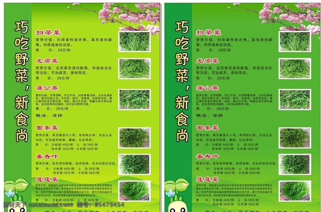 野菜文化 扫帚菜 龙须菜 蒲公英 面条菜 番杏叶 蓬蓬菜 野菜 野菜海报 野菜品种 野菜类型 各种野菜 野菜价目表 野菜展板 野菜卡通人