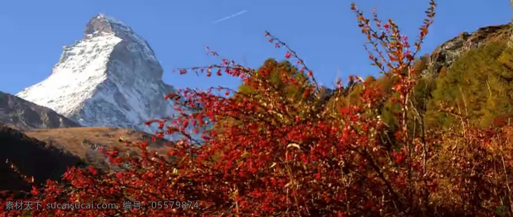 冰川 远景 红色 树林 美景 高清 实拍 视频 山峰 高清实拍
