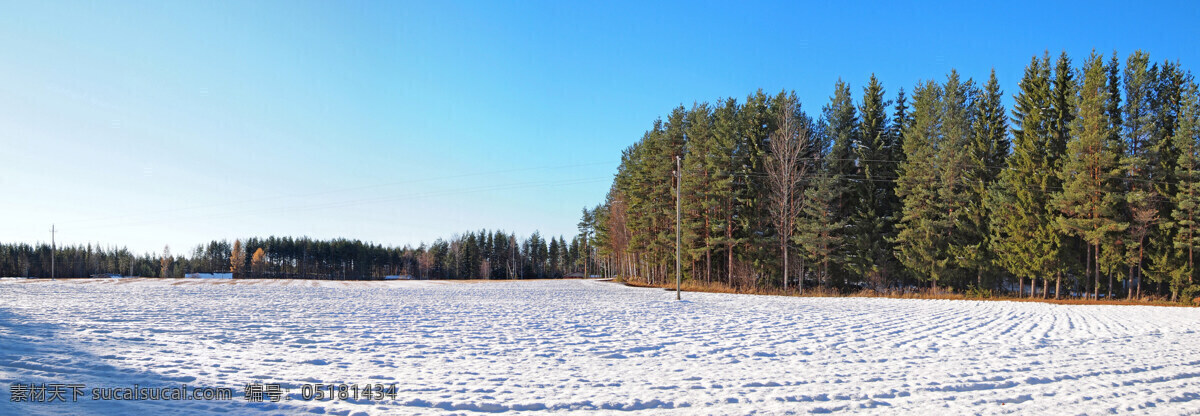 天空 雪花 大雪 蓝天 彩霞 雪地 白色大地 丛林森林 极地 寒冷 美景 针叶林 雪松 北极 松树 雪国 雪的世界 美丽自然 旅游摄影 自然风景