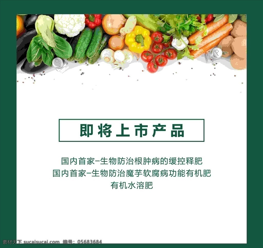 蔬菜海报上市 dm单海报 x展架易拉宝 宣传单标签 kt板吊旗