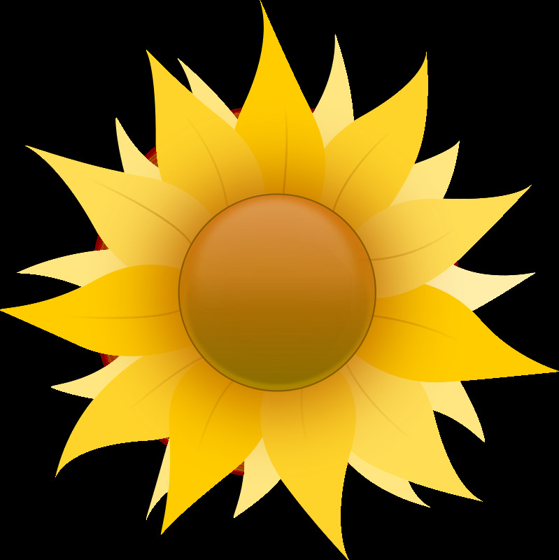 向日葵 花 检查 太阳 图标 叶 aiflowers 卡通的向日葵 编辑选择 向日葵图标 插画集