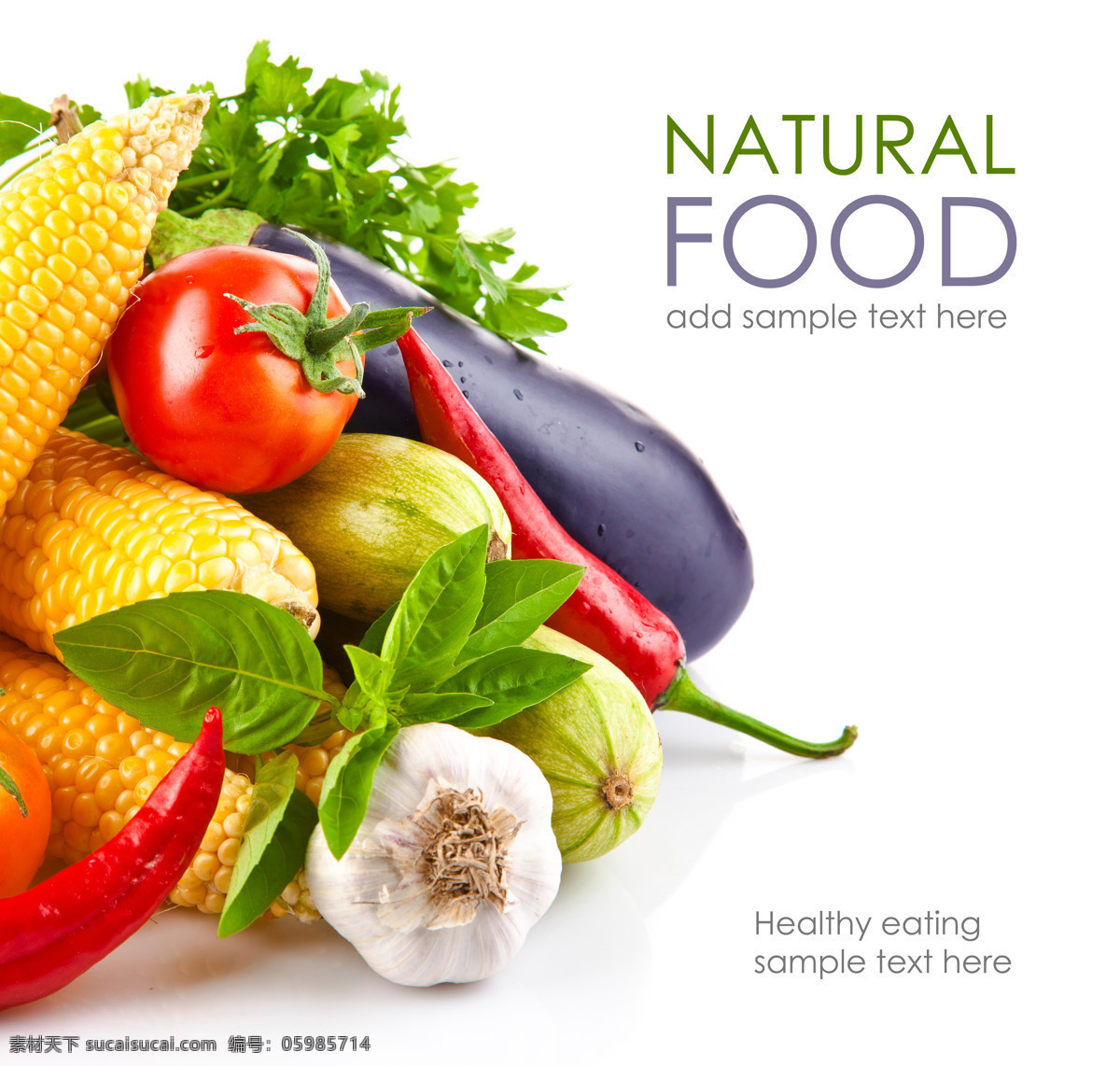 各种 绿色 蔬菜 玉米 南瓜 大蒜 西红柿 辣椒 茄子 各种绿色蔬菜 健康食物 蔬菜图片 餐饮美食