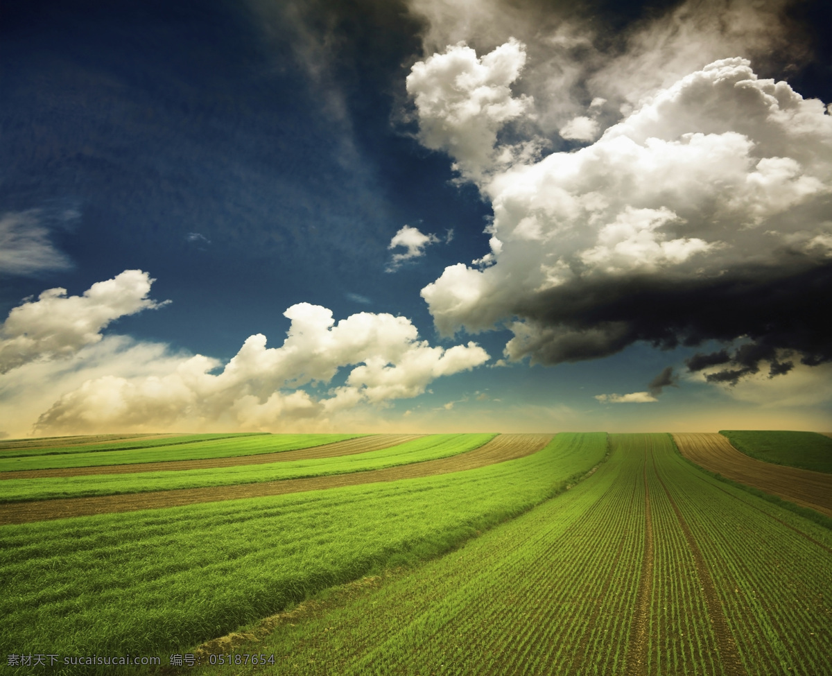美丽麦地风光 麦地 麦子 土囊 阳光 蓝天 白云 田园风光 自然景观