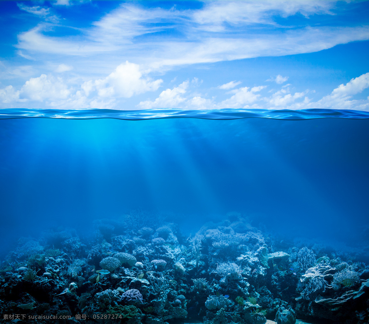 蓝色海底世界 海底世界 海底 海底素材 大海 海水 海底世界图片 珊瑚 海洋 生物世界 动物图片 海洋生物 风景图片 大海图片 自然景观