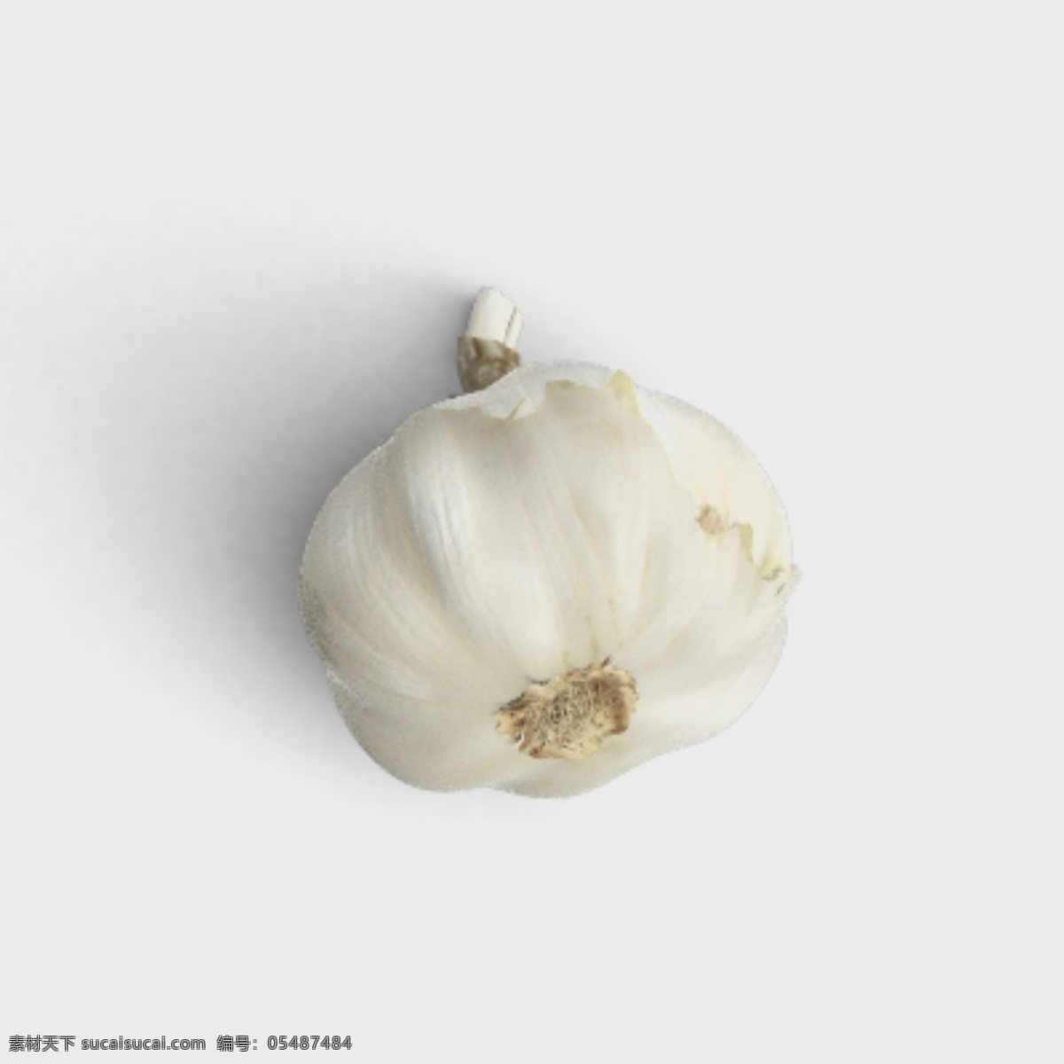 新鲜绿色蔬菜 大蒜 蒜瓣 蒜牙 葱蒜 时令蔬菜 有机蔬菜 绿色蔬菜 蔬菜 超市蔬菜 有机鲜果 有机瓜果 蔬菜区 绿色食品 营养健康 新鲜绿色 新鲜蔬菜 健康水果 生鲜区 水果蔬菜 蔬菜水果 鲜果尝鲜 新鲜水果 水果摊 鲜果超市 商铺果品 时令水果 进口水果 蔬果超市 瓜果蔬菜 农产品 水果超市 水果批发 水果市场