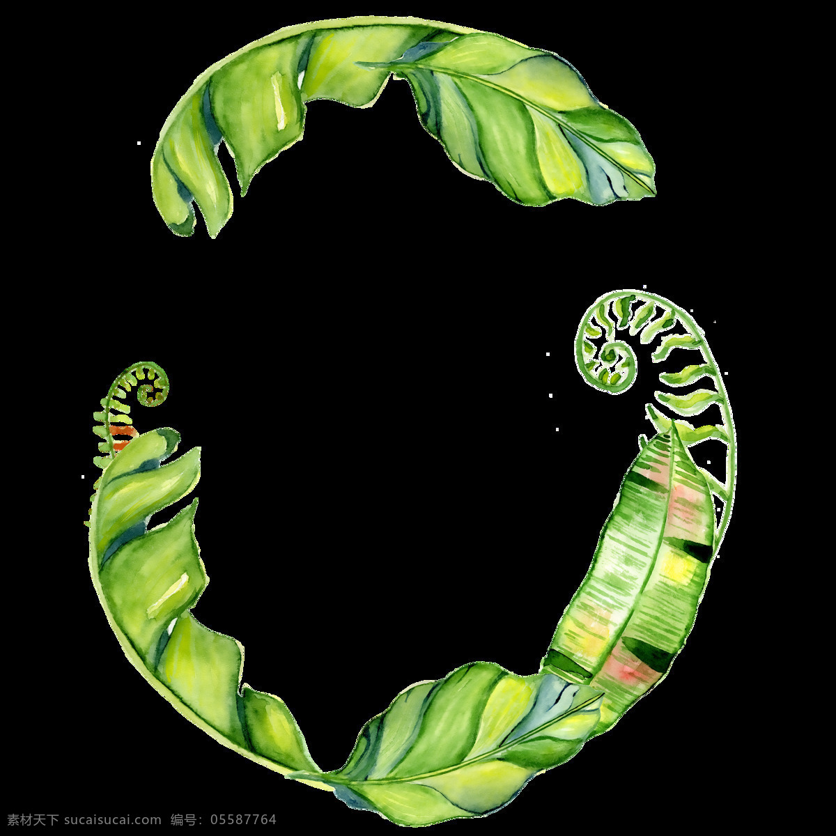 手绘 三 片 叶子 透明 逼真 绿色 免扣素材 水彩 透明素材 香蕉叶 渲染 装饰图案