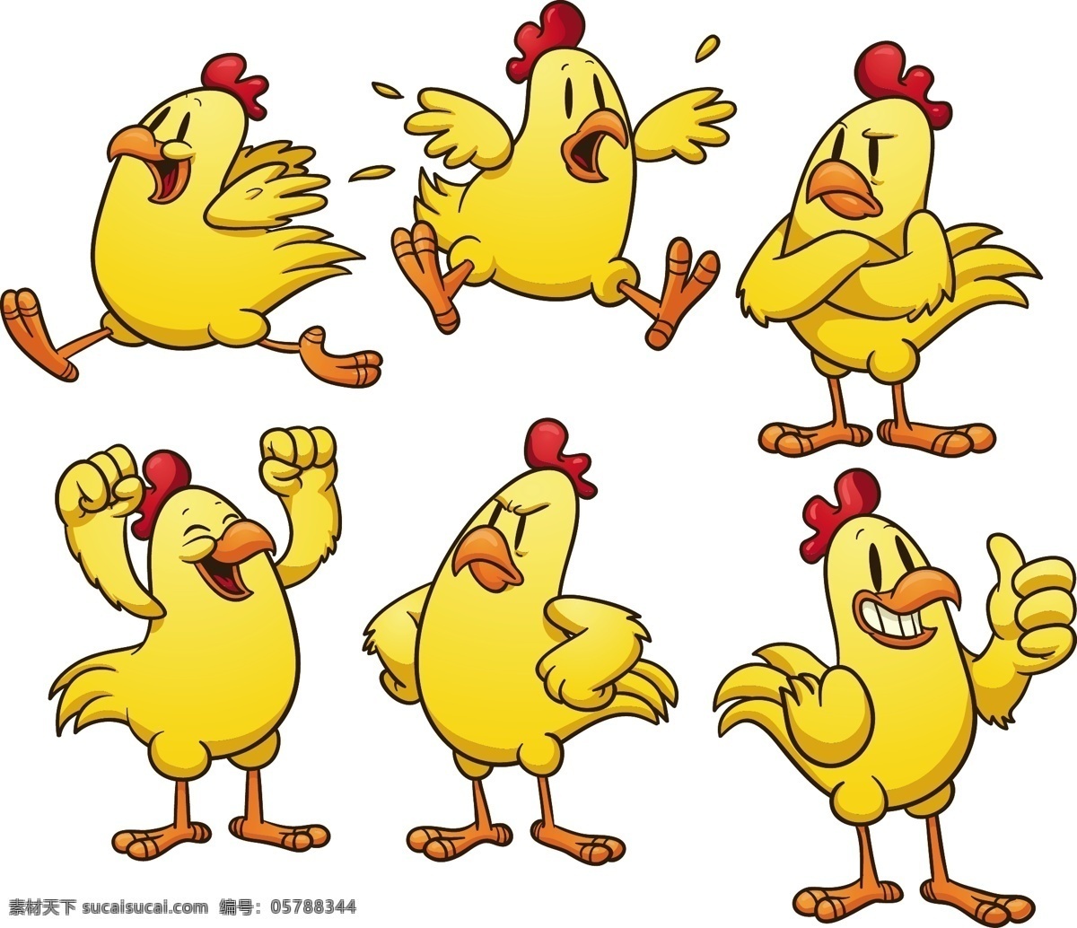 卡通公鸡表情 卡通 可爱 小鸡 公鸡 表情 幽默 滑稽 有趣 手绘 矢量 动物家禽家畜 家禽家畜 生物世界
