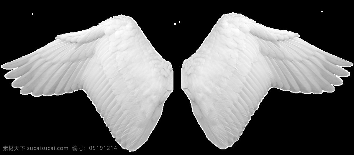 白色 天使 翅膀 元素