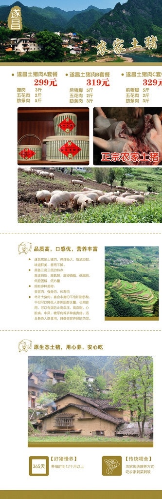 网站 土猪肉 专题页 土猪肉专题 遂昌土猪肉 高山土猪肉 中文模版 网页模板 源文件 猪 遂昌 促销广告 网页广告