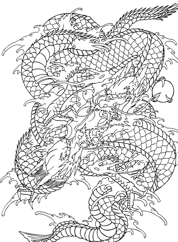 龙纹 线描龙 白描龙 龙纹身 传统龙 图腾 中国龙 龙形 恭贺新禧 线 描 白描 工笔 美术绘画 文化艺术 传统文化