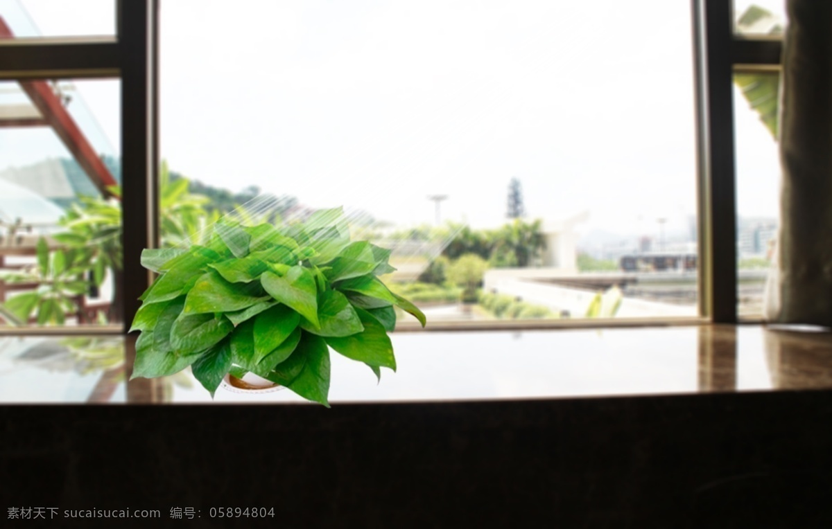 绿萝 绿色植物 窗台 绿色植物背景 分层 绿化 阳光 自然景观 自然风光