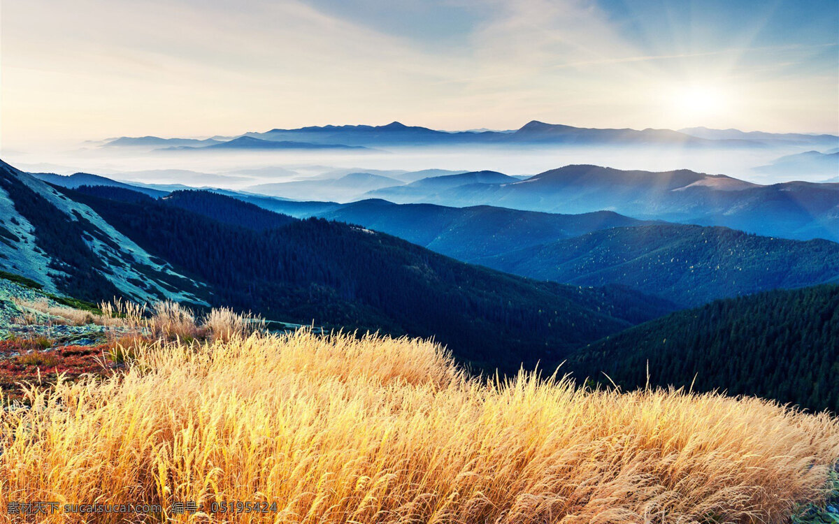 风景图片 风景 桌面壁纸 自然景观 自然风景 壁纸图片 壁纸 山水风景 山水画图片 河流 唯美图片 风景画 风景壁纸 唯美壁纸 唯美素材 背景图片 背景素材 蓝天白云 大自然 高清风景图片 拍摄 生态 绿叶 花 草 植物 植物特写 拍摄素材