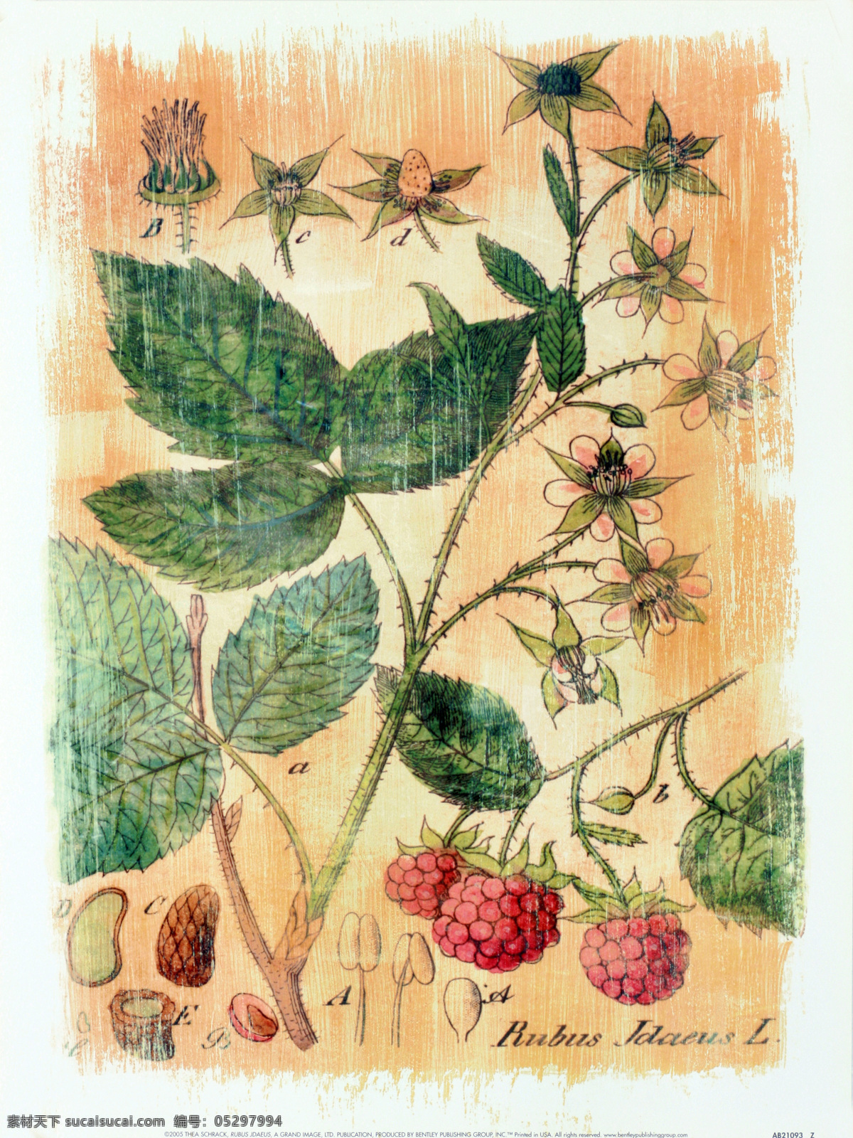 客厅 家居 餐厅 儿童房 酒吧 酒店 装饰画 无框画 花瓶 抽象 玄关 静物 三联 共享装饰画 文化艺术 绘画书法