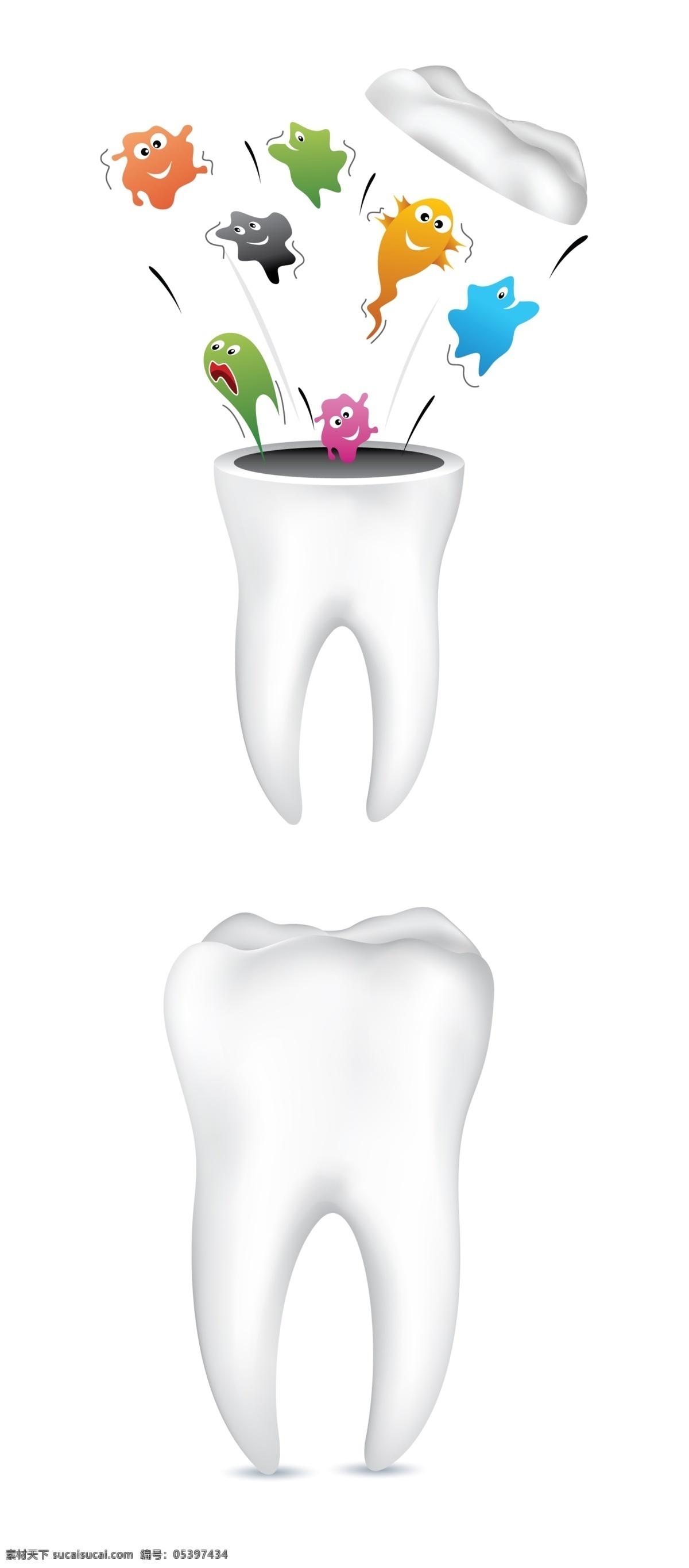 牙齿 牙 病菌 牙病 牙虫 分层 源文件