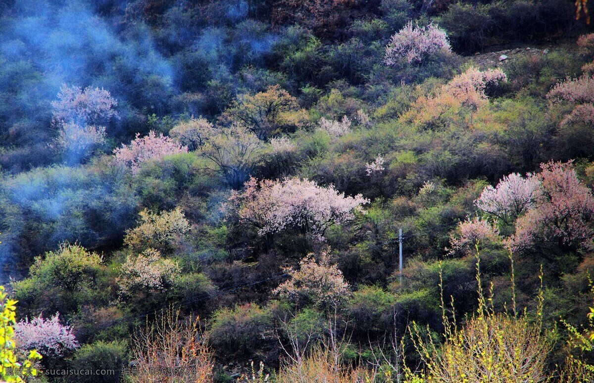 西藏 雅鲁藏布 大峡谷 风景