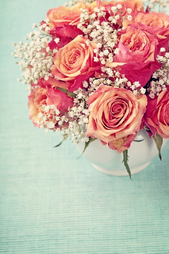 簇 粉 蔷薇 装饰画 一簇 粉色 美丽 绽放 鲜花 盛开 花瓣 植物 浪漫 唯美 蓝色背景