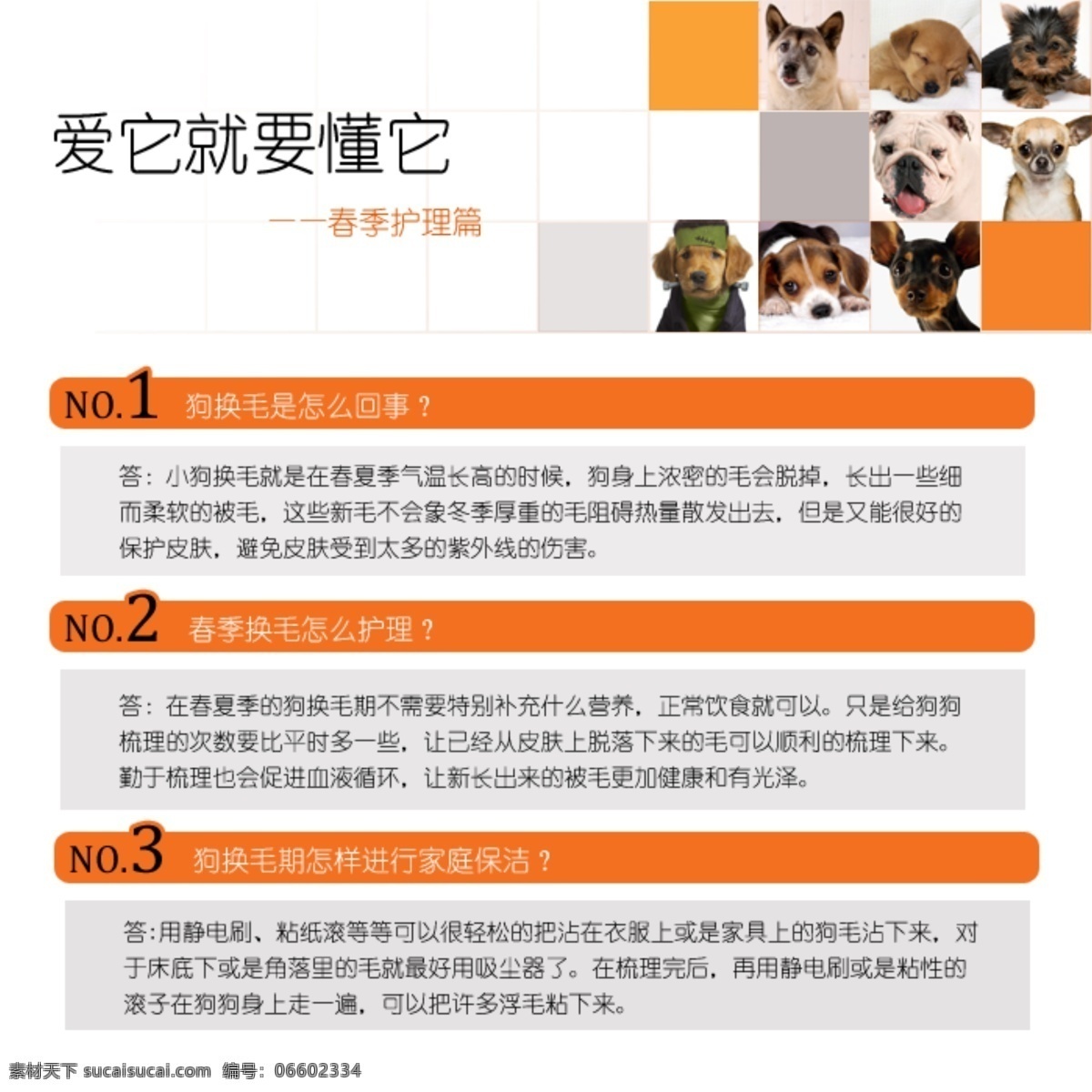 宠物 狗狗 其他模板 淘宝详情页 淘宝 详情 页 模板下载 网页模板 源文件 爱宠知识 春季养护 psd源文件