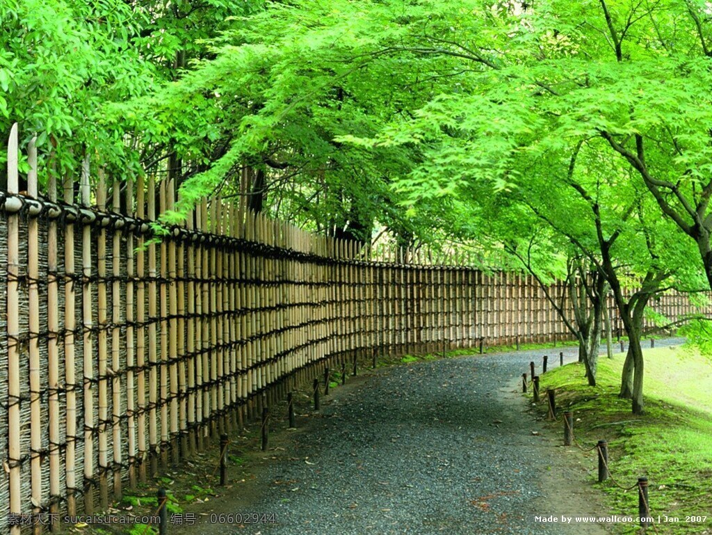 绿叶 围墙 高清 素材图片 风景 风景图片 绿树 树 别院 生活 旅游餐饮