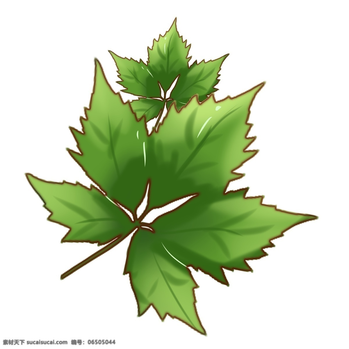 卡通绿色植物 枫叶 热带植物 绿色