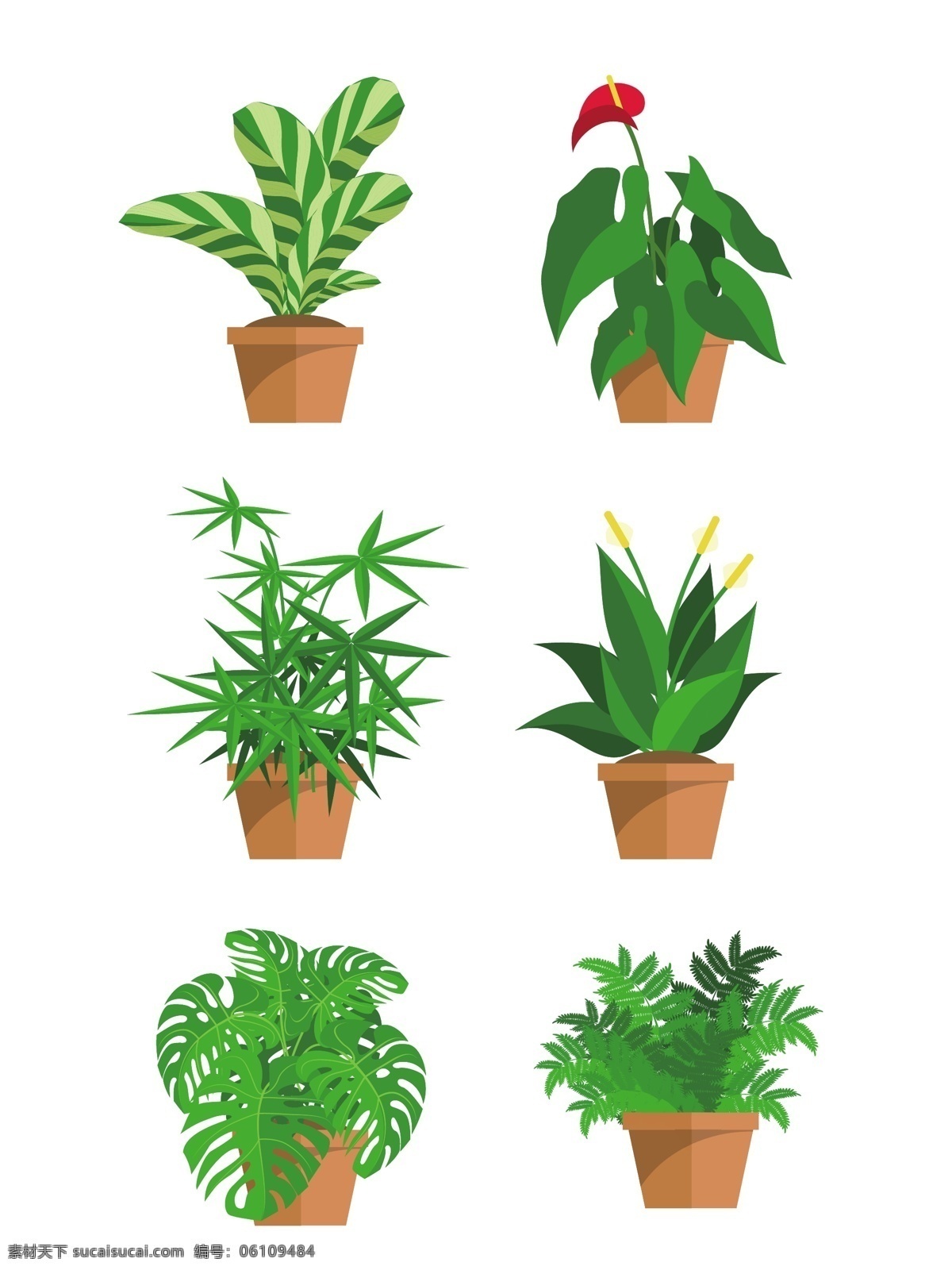 矢量 绿植 盆栽 元素 商用 植物 绿叶 叶子 竹子 矢量植物 矢量叶子 矢量绿叶 矢量元素 元素设计 手绘植物
