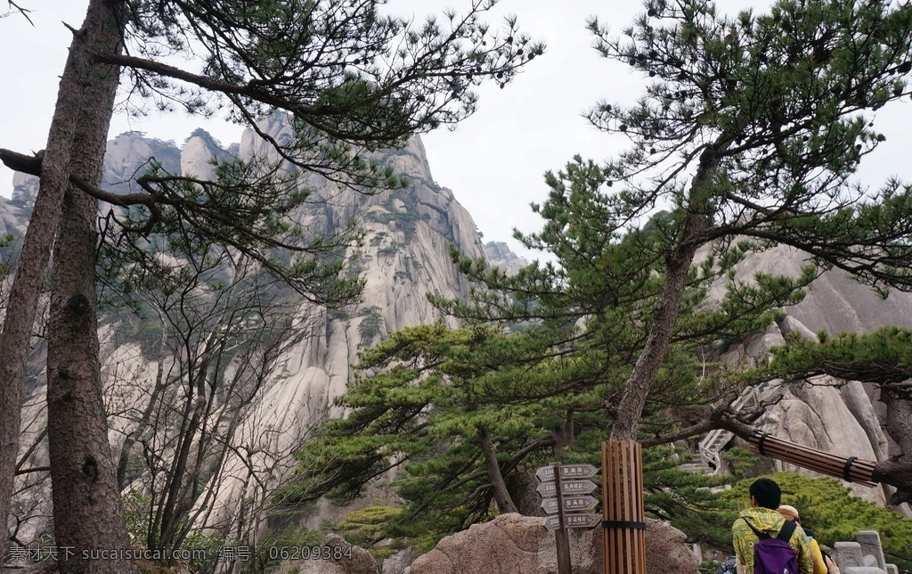 安徽黄山 黄山 黄山风景 安徽风景 安徽风光 黄山景观 黄山风景区 树木 高山 群山 安徽 安微黄山宏村 旅游摄影 自然风景