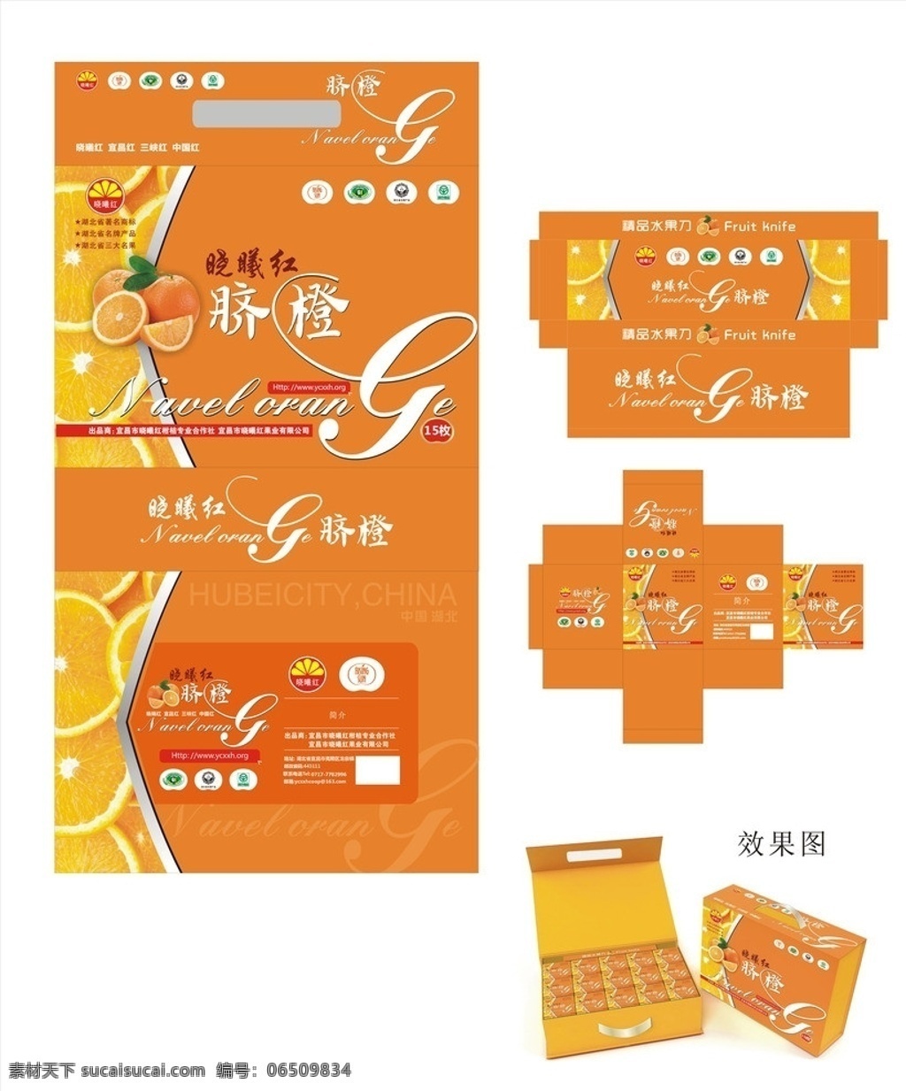 脐橙包装 脐橙 刘友泽 晓曦红 晓曦红包装 包装设计 矢量