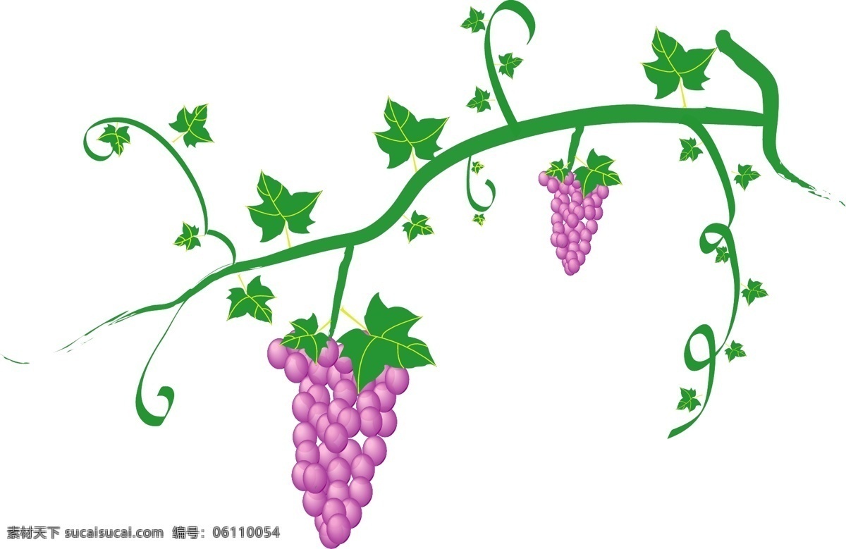 葡萄 熟 ai文件 生物世界 矢量图库 手绘葡萄 水果 矢量 模板下载 葡萄熟了 日常生活