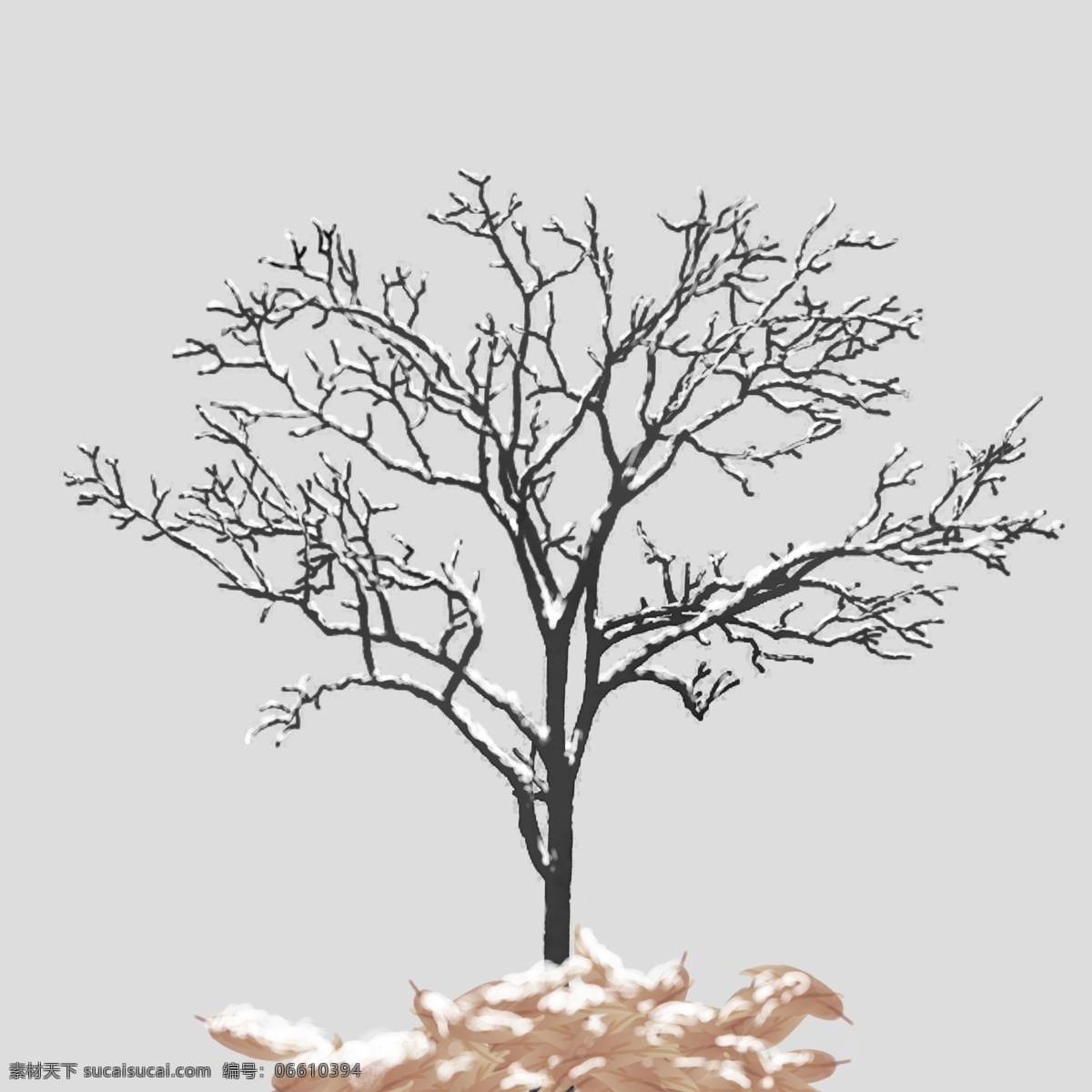 冬季 积雪 暗色 树 落叶 寒冷 手绘 免 抠 积雪树 暗色树 免抠图 写实 唯美 冬季树 单棵树 堆积落叶