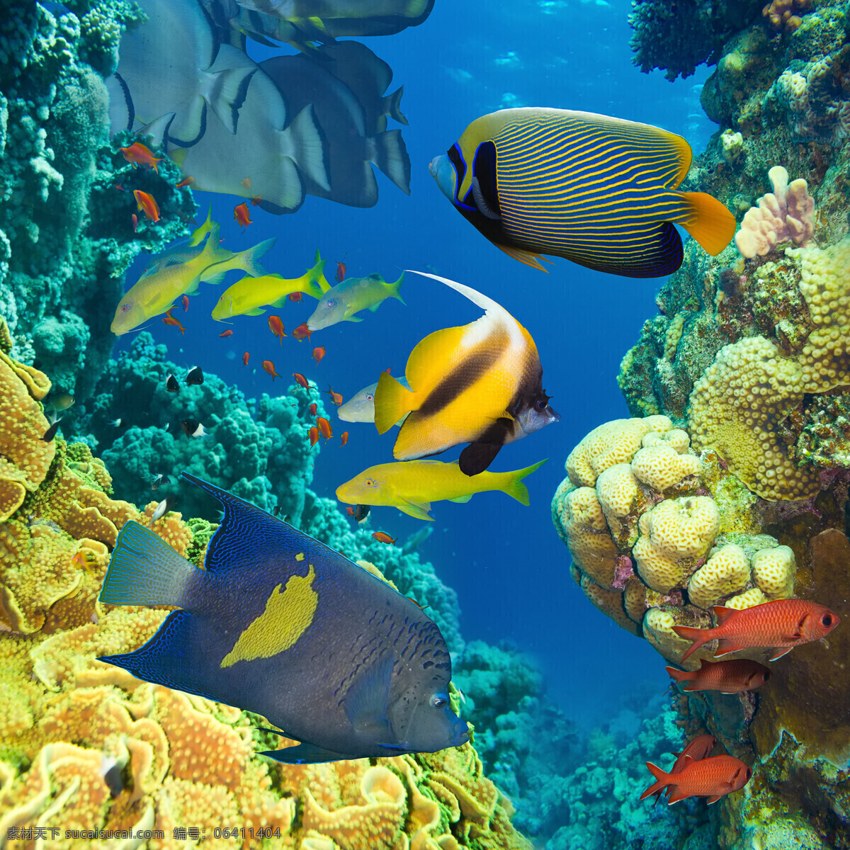 海底世界 海洋馆 海鱼 海水 深海 海底 水族 鱼类 鱼群 海洋生物 生物世界 海底世界二