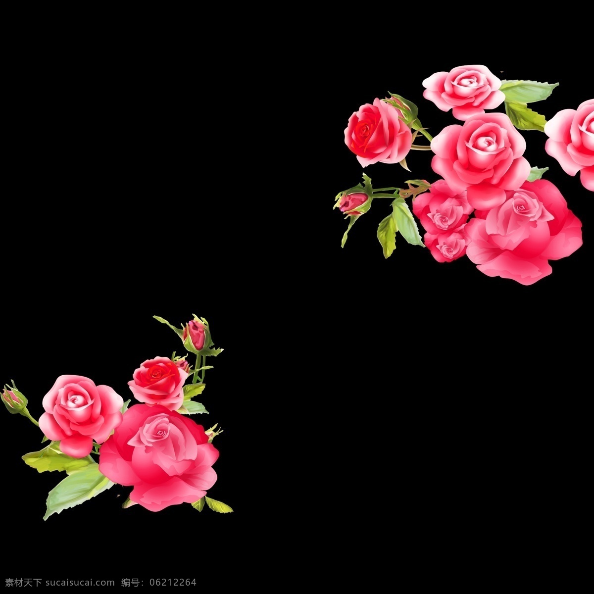 玫瑰花图片 花朵 手绘 透明 粉色 玫瑰 花草 花束 一束花 花瓣 高清 超清 画质 分层
