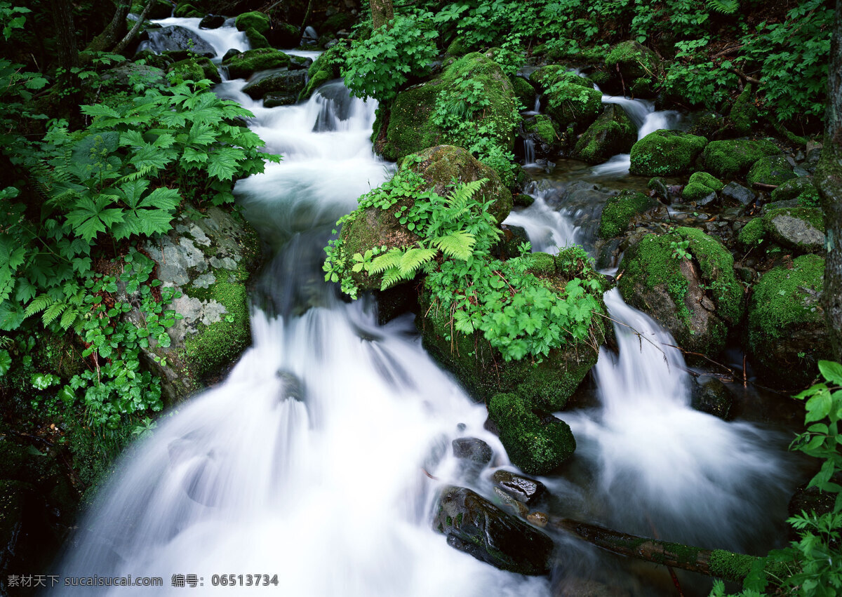 湍急的流水 自然 风景 水花 水雾 溅出 湍急 急流 河流 植物 植被 自然风景 自然景观 黑色