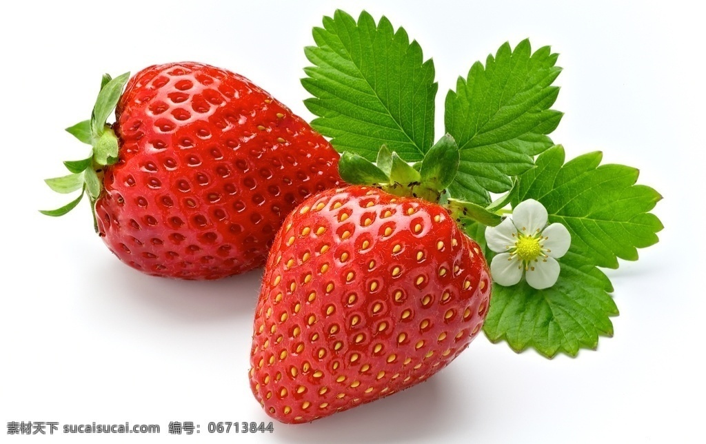 水果图片 水果白底图 草莓 苹果 橙子 车厘子 蓝莓 黄桃 牛油果 荔枝 加力果 菠萝 梨子 桑葚 桃子 紫葡萄 葡萄 石榴 李子 西柚 无花果 柿子 释迦 香蕉 杨桃 杏子 西瓜 猕猴桃 甜瓜 木瓜 灯笼果 山竹 百香果 榴莲 哈密瓜 芒果 椰子 火龙果 柠檬 莲雾 青桔 柚子 粉焦 提子 生物世界 水果