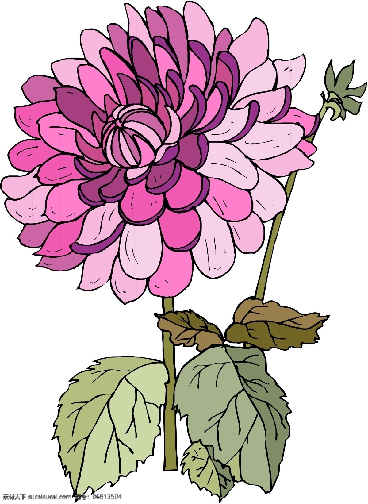 花 花瓣 花草 花草矢量图 花朵 花卉 花卉图片大全 花藤 矢量素材 矢量素材库 矢量 矢量图 矢量图库 矢量素材下载 其他矢量图