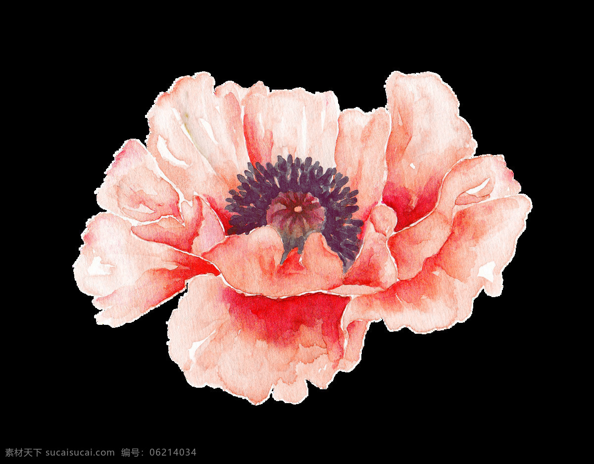 手绘 彩色 鲜花 透明 合集 免 扣 插画 粉色 红色 花瓣 花朵 花卉 花茎 花蕊 黄色 卡通 绿色
