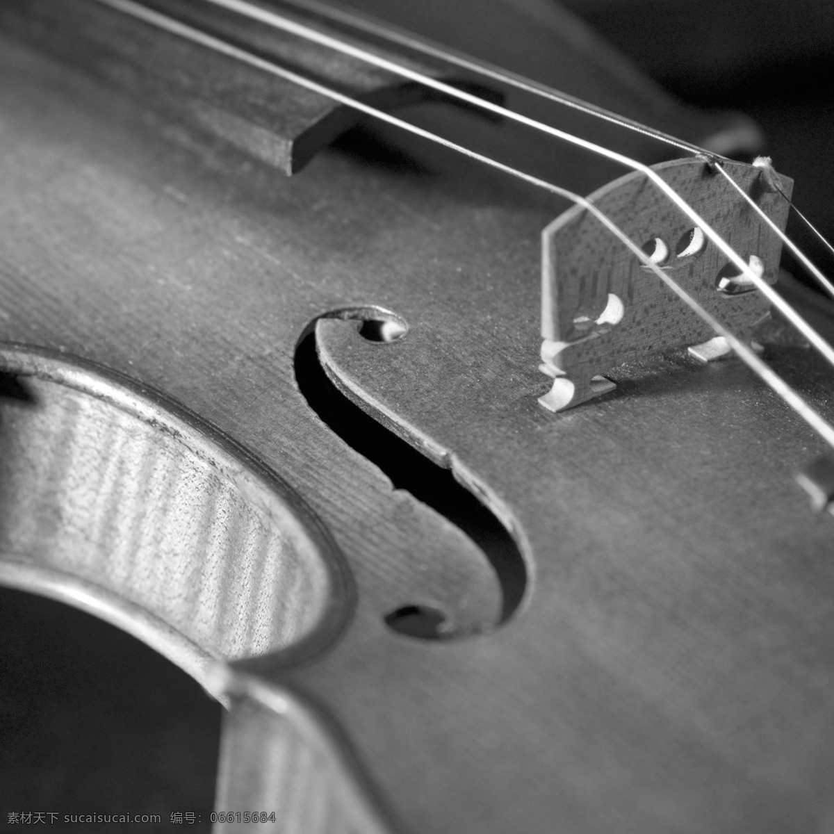 琴弦 音乐 艺术 乐器 弦乐器 小提琴 文化艺术 舞蹈音乐 摄影图库