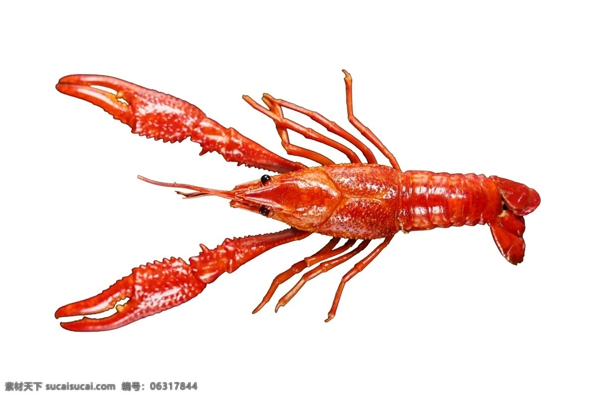 海鲜 红色 免抠 烹饪 食材 食品 食物 虾 小龙虾 营养