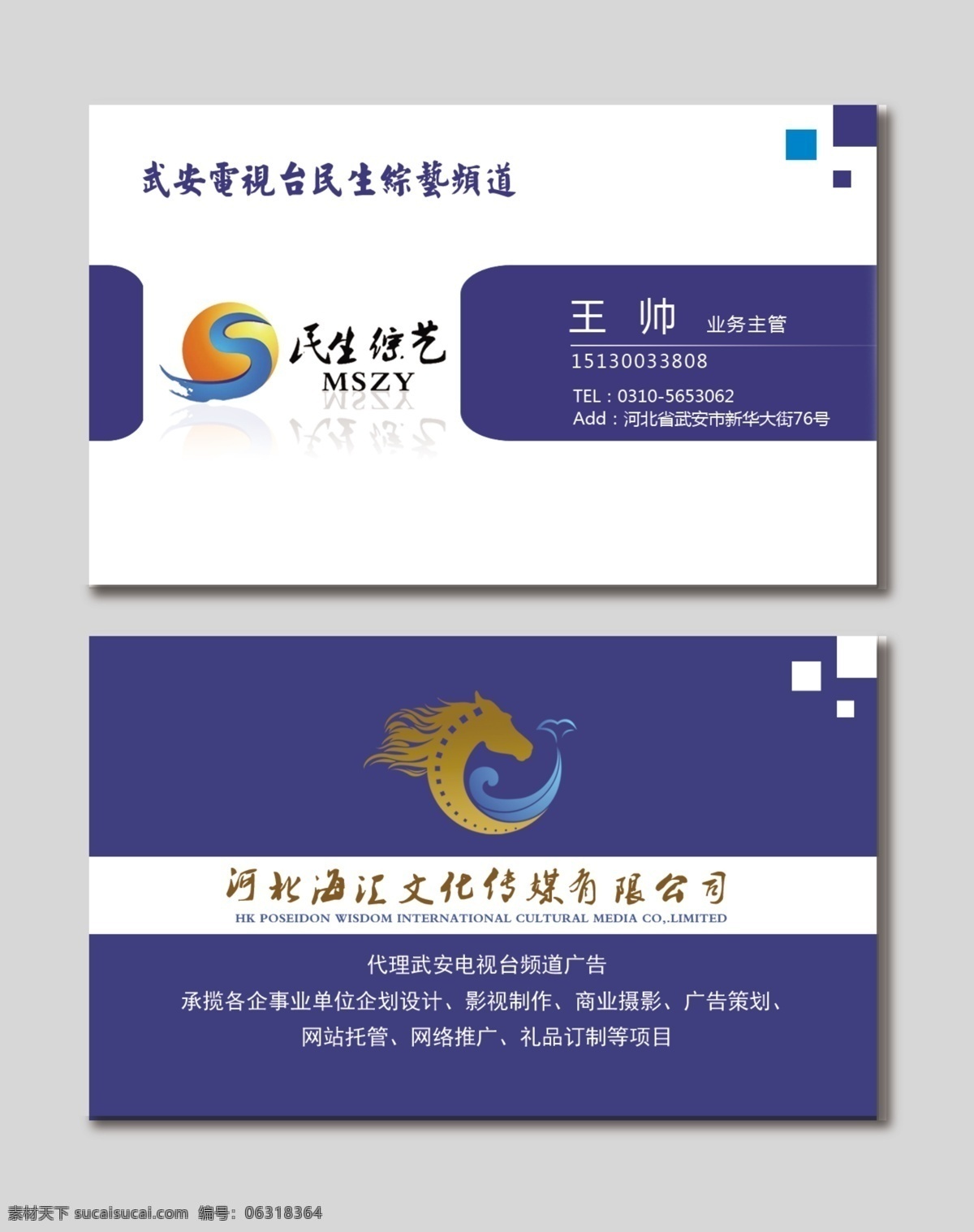 民生综艺名片 高档名片 简洁名片 电视台名片 广告公司名片 蓝色名片 名片卡片