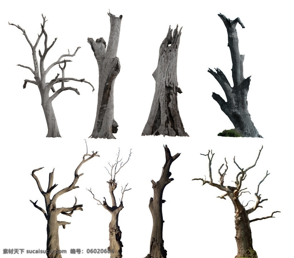 枯木 分层 树木素材 树木 树 大树 枯树 死树 枯萎的树木 落叶树木 木材 树木分层素材 设计元素 psd素材 集 源文件