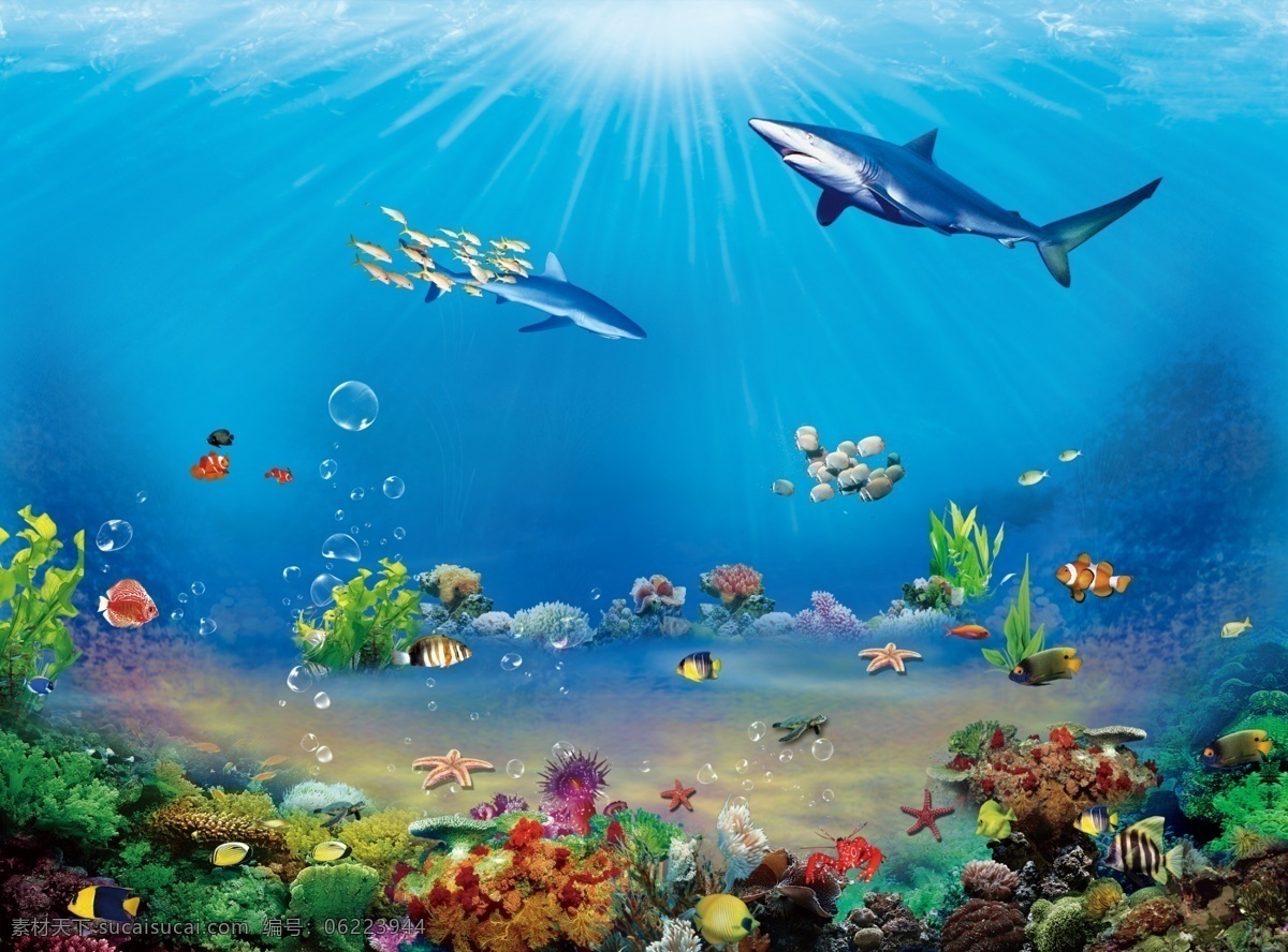 海洋生物素材 海洋生物 海底世界 高清海洋生物 海洋动物图片 深海生物素材