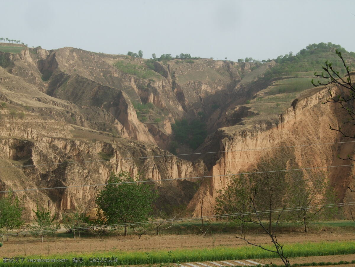 黄土地貌 北方 特有 黄土高原 黄土地形 植被地貌 自然风景 自然景观