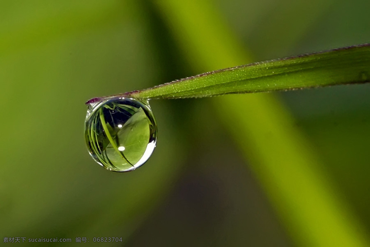 水滴 背景 背景底纹 草 底纹边框 绿色 唯美 水滴设计素材 水滴模板下载 桌面 自然 psd源文件