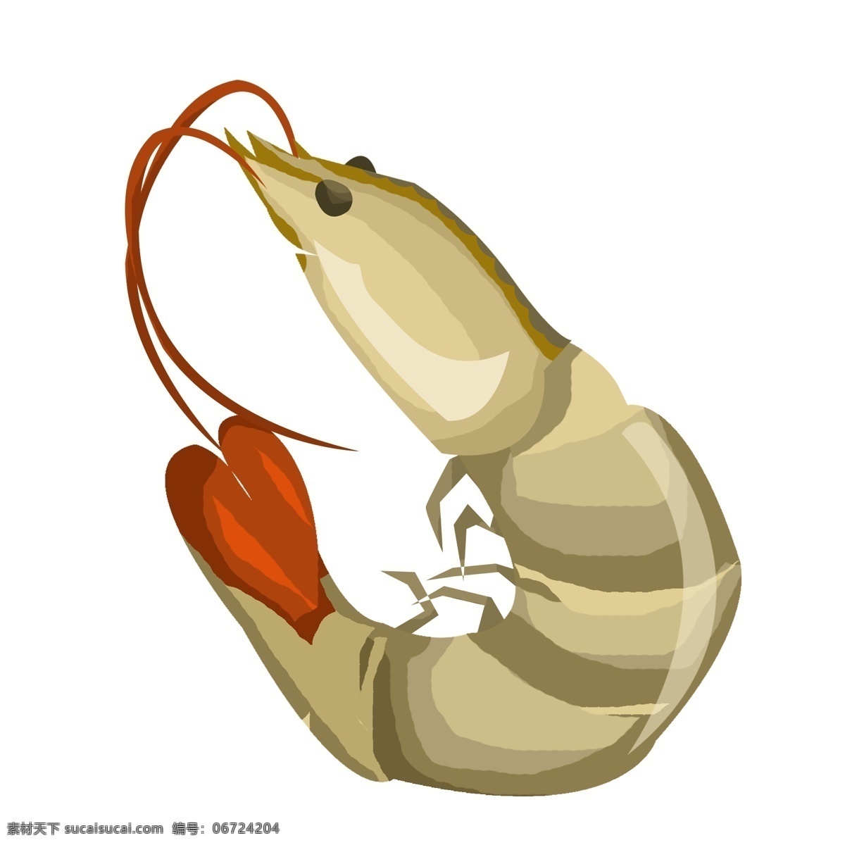 手绘 海鲜 青虾 插画 美味的青虾 卡通插画 手绘海鲜插画 创意海鲜插画 海洋的海鲜 红色的胡须