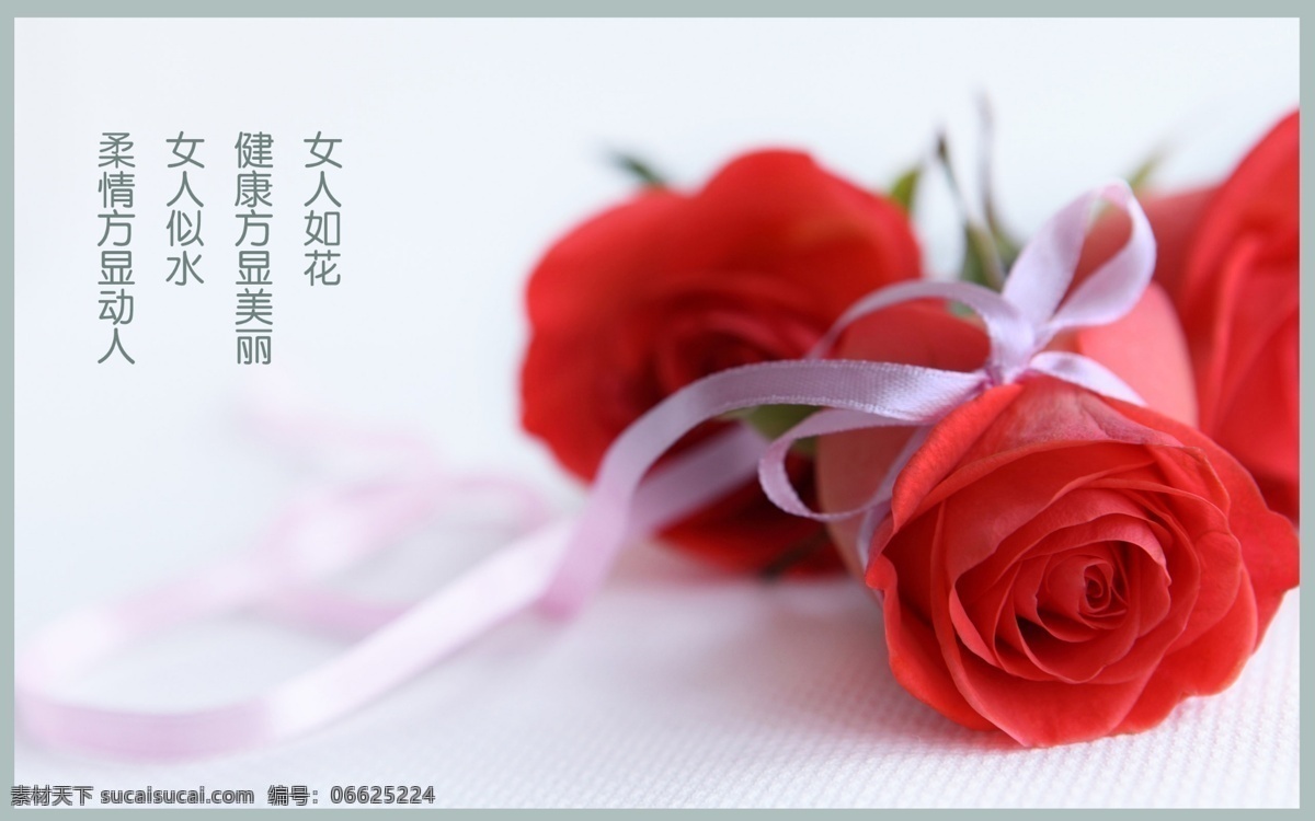 玫瑰花 广告 背景 分层 玫瑰 红玫瑰 丝带 爱情 情人节 鲜花 花朵 花卉 女人如花 女人似水 柔情动人 健康美丽 广告背景设计 源文件 白色