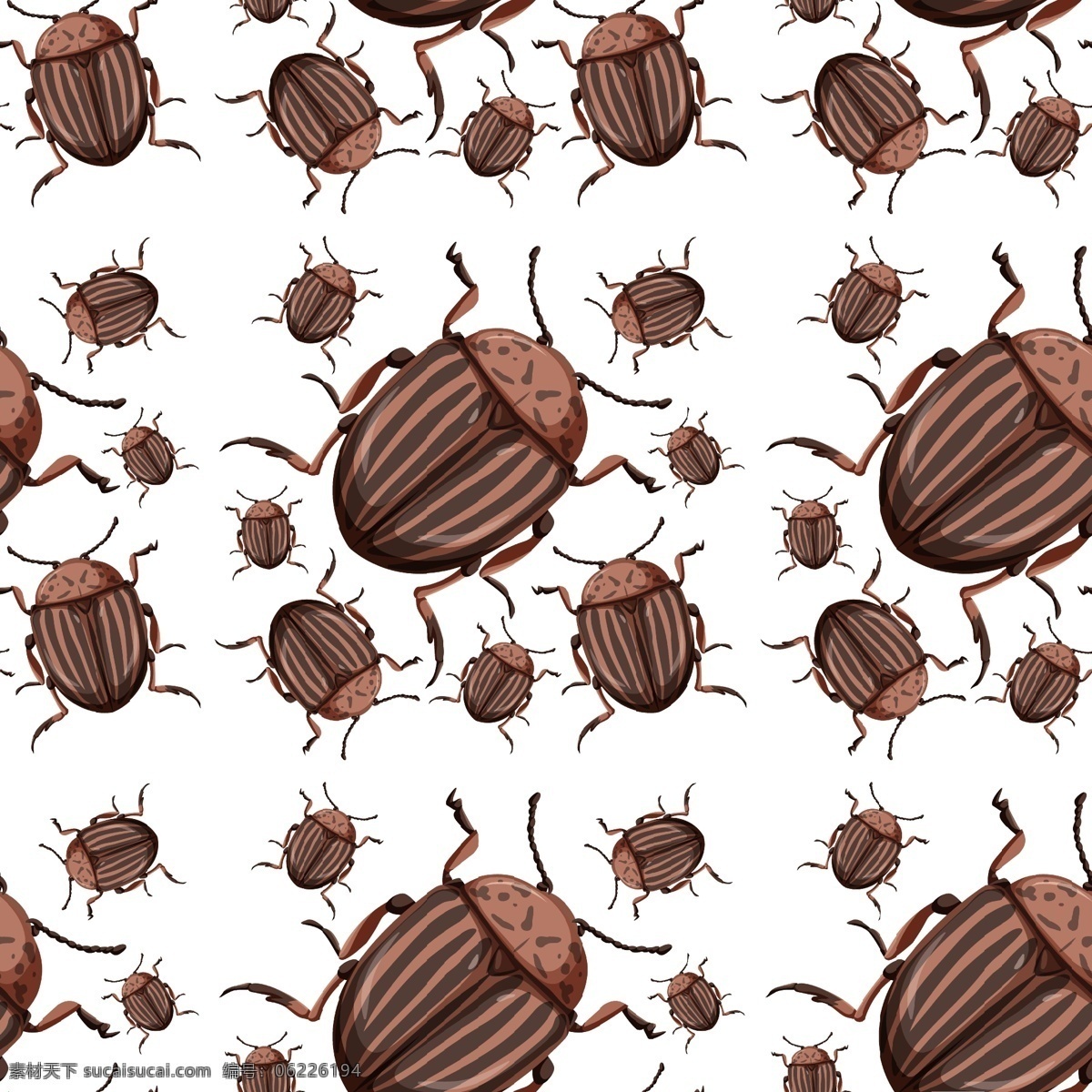 卡通昆虫图片 卡通昆虫 生命周期 进化 退化 演变 虫子 发展 生物 学科 卡通动物生物 生物世界 昆虫